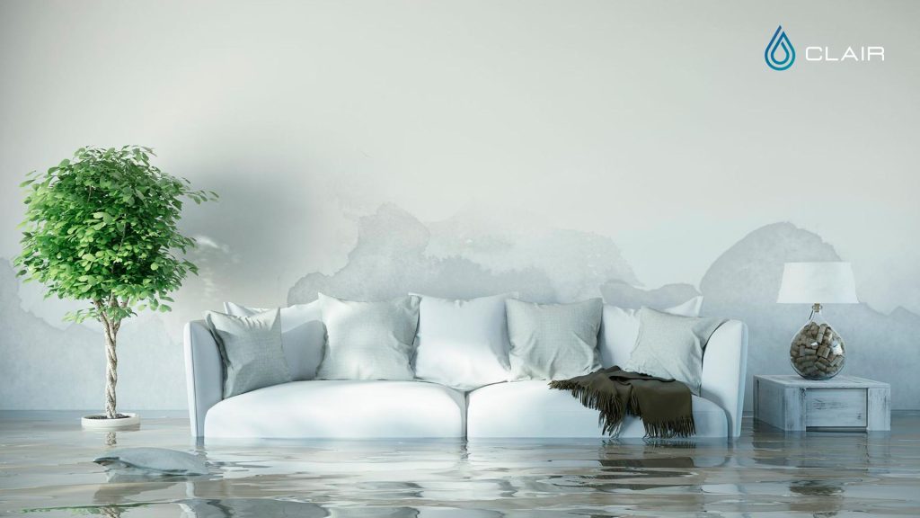 What to do after a flood in your home?