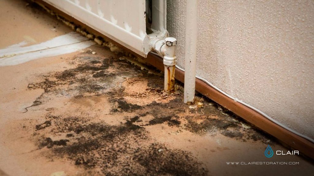 Preventing-Mold-Growth-After-a-Water -Event