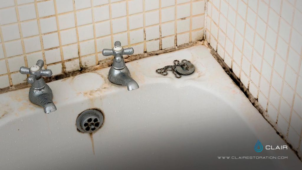 the Mold in Bathrooms:How to Combat and Prevent It