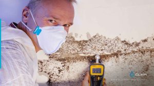 Effects of Mold on Human Health: Impacts and Prevention